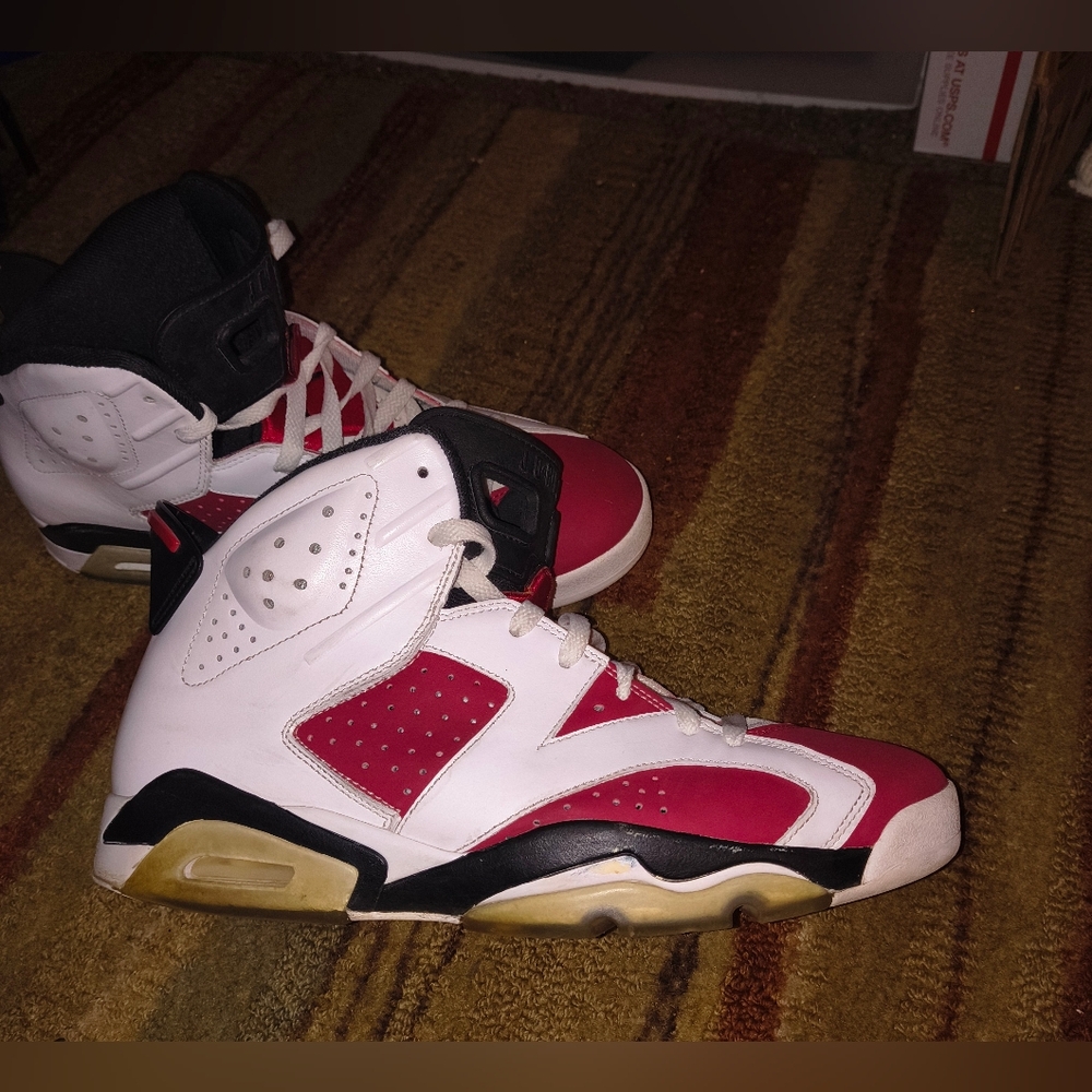 Jordan 6 Carmine Year 2013